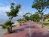 SAM_0781