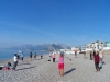 SAM_0809