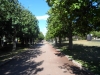 SAM_1010