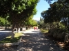 SAM_1023